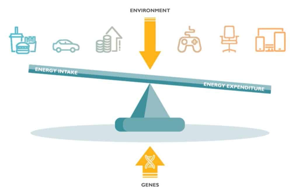 Energy Balance with Weight Loss Medications