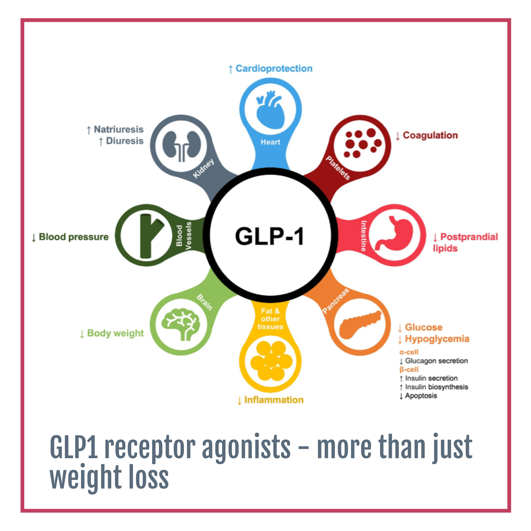 GLP1 Benefits