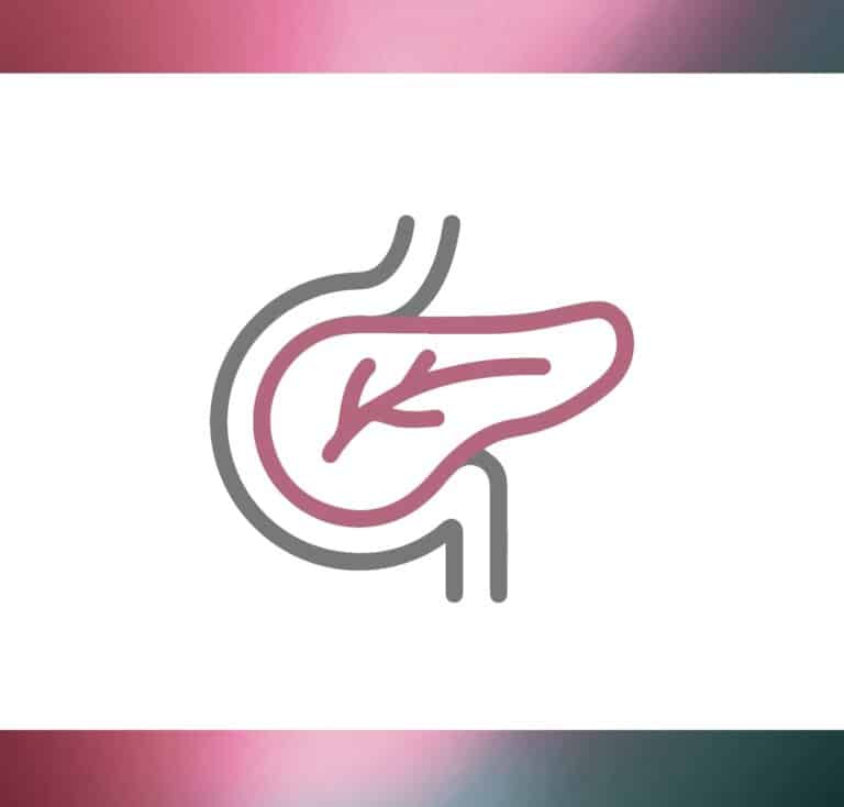 Pancreas - MedSurg Weight Loss in Brisbane